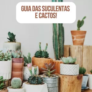 Imagem de capa para o Ebook Guia das Suculentas e Cactos O Guia Definitivo para Coleção e Cultivo Perfeitos
