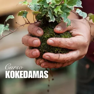 Imagen de portada para Curso online Tu primer Kokedama: Crea, cuida y decora
