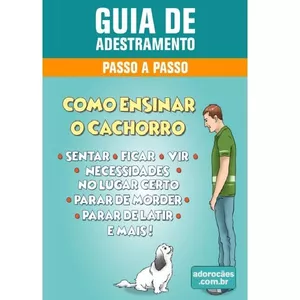Imagem do curso Guia de Adestramento de cães - Passo a Passo