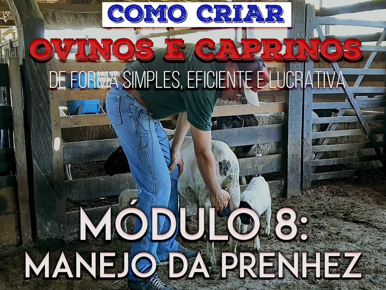 Imagem de Curso - MANEJO DAS MATRIZES PRENHAS DE OVINOS E CAPRINOS criado por Estância Vale Encantado na hotmart