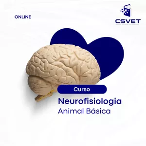 Imagem de capa para o Curso online Neurofisiologia animal básica