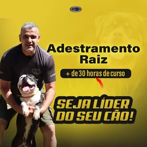 Capa do curso 