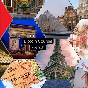 Image de couverture pour le Cours en ligne How to understand Bitcoin Online (Fast) | In French