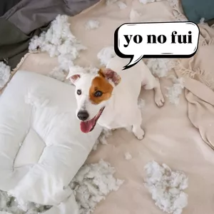 Imagen de portada para Ebook Un perro, un líder, una familia