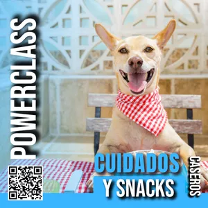 Imagen de portada para Curso online Cuidados y Snacks para Mascotas
