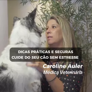 Imagem de capa para o Curso online DICAS PRÁTICAS E SEGURAS - CUIDE DO SEU CÃO SEM ESTRESSE