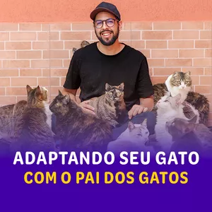 Imagem de capa para o Curso online Adaptando seu Gato com o Pai dos Gatos