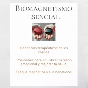 Imagen de portada para Ebook Biomagnetismo Esencial