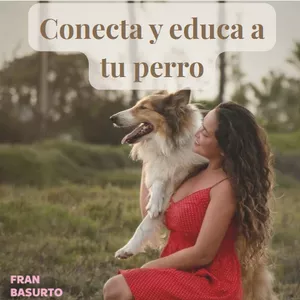 Imagen de portada para Curso online Conecta y Educa a tu perro : El primer paso hacia la calma