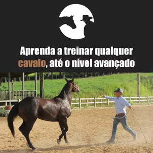 Imagem de capa para o Curso online Conecte-se Com Seu Cavalo