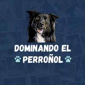 Imagem principal do produto Dominando el Perroñol