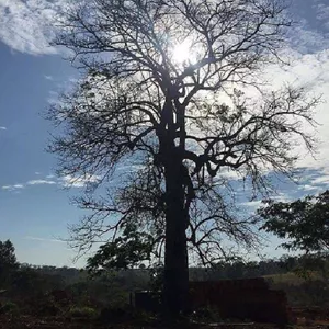 Imagem do curso Projetoidentidade9: Quem é você fora dos rótulos?