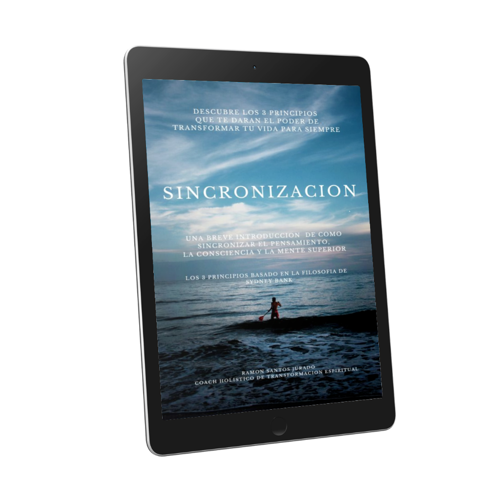 SINCRONIZACION 