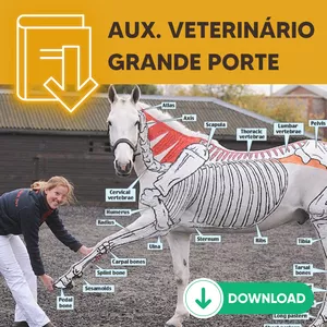 Imagem de capa para o Ebook ClickBook - Ebook's Materiales adicionales