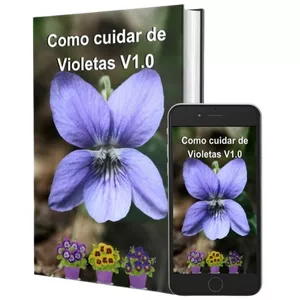 Imagem de capa para o Ebook Como cuidar de Violetas V1.0