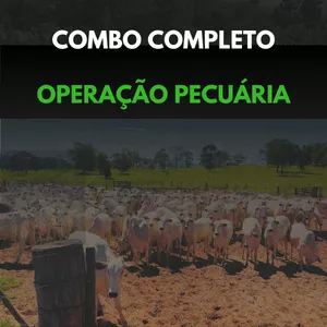 Capa do curso 