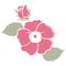 Wild Rose Medicine School