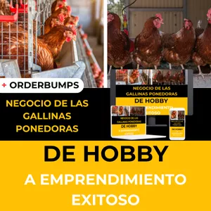 Imagen de portada para Curso online Negocio de Gallinas Ponedoras: De Hobby a Emprendimiento Exitoso