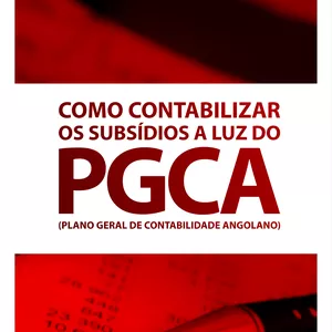 Imagem de capa para o Ebook Como contabilizar os subsídios a Luz do Plano Geral de Contas Angolano 