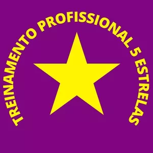 Imagem de capa para o Curso online Treinamento Profissional 5 Estrelas 