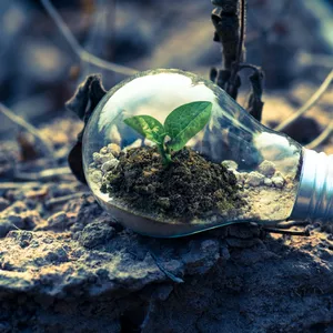 Imagem do curso Natureza e Sociedade: Relação com o Meio Ambiente