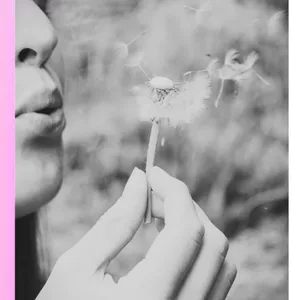 Imagem de capa para o Ebook Desacelere se