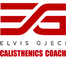 Calisthenics Workout Italia