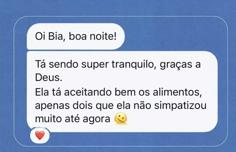 Print de conversa: Está sendo super tranquilo, graças a Deus. Ela está aceitando bem os alimentos.