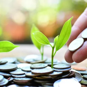 Imagem do curso PASSO A PASSO DE COMO COMEÇAR A INVESTIR