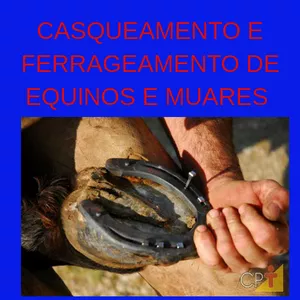 Curso Profissionalizante de Casqueamento e Ferrageamento de Equinos e Muares 