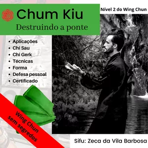 Curso Curso completo de Wing Chun nível 2 Chum Kiu destruindo a ponte