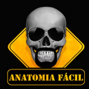 Imagem de capa para o Curso online MuscleFLIX(PP)