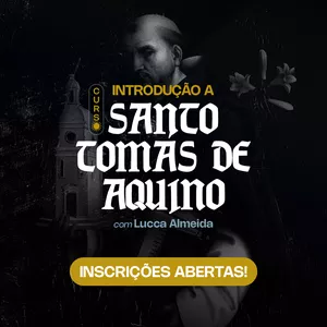 Imagem de capa para o Curso online Introdução a Santo Tomás de Aquino