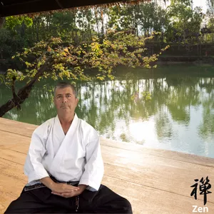 Cover image for Online course Zen in Movement