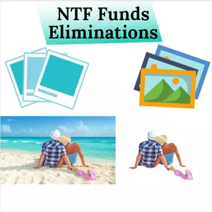 Imagen de portada para Curso online NTF Fund Eliminations