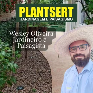 Imagem de capa para o Curso online Jardinagem e Paisagismo: Da teoria à prática