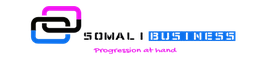 SomaliBusiness Academy