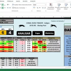 Imagem do curso Planilha Vitalícia de Análise Corridas Galgos - Inglesas e Irlandesas