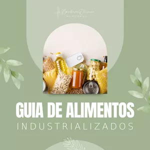 Imagem de capa para o Ebook Guia alimentos industrializados