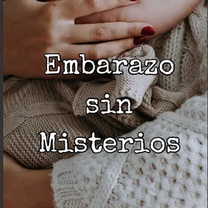 Imagen de portada para Ebook Embarazo sin misterios