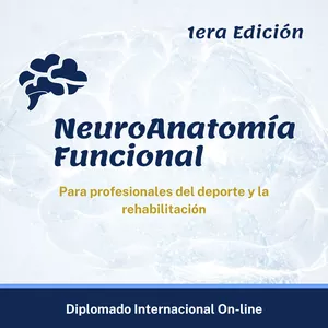 Imagem principal do produto Neuroanatomía Funcional para profesionales del Deporte y la Rehabilitación