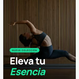 Imagen de portada para Ebook Evolución 500: Entrenamiento de Alto Nivel