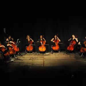 Imagen de portada para Curso online Aprende a tocar Violonchelo desde 0