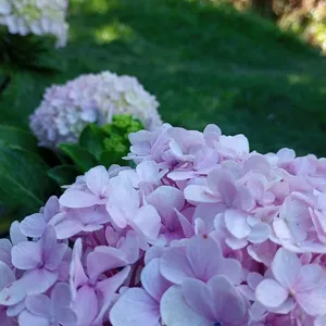 Imagem de capa para o Curso online Imagens para colocar de capa 