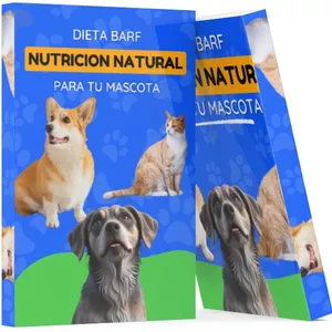 Imagen de portada para Curso online Vida BARF: Alimentación Natural para tu Mascota