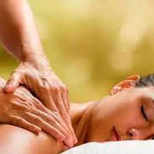 Imagem de capa para o Ebook Tudo Sobre Massoterapia