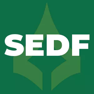 Imagem de capa para o Ebook Simulados QUADRIX SEDF