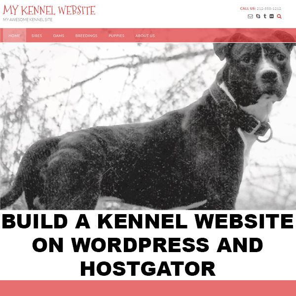 Build a Breeder's Kennel Website on WordPress