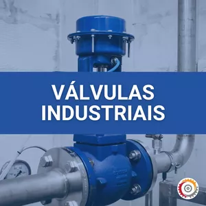 Imagem de capa para o Curso online Expert Válvulas Industriais