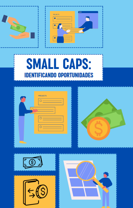 Imagem do curso Small Caps: Identificando Oportunidades